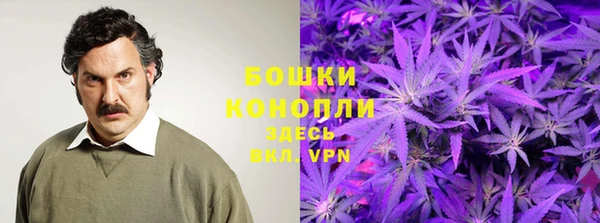 Альфа ПВП Абаза