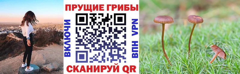 kraken ТОР  Майский  Псилоцибиновые грибы мухоморы  цена  