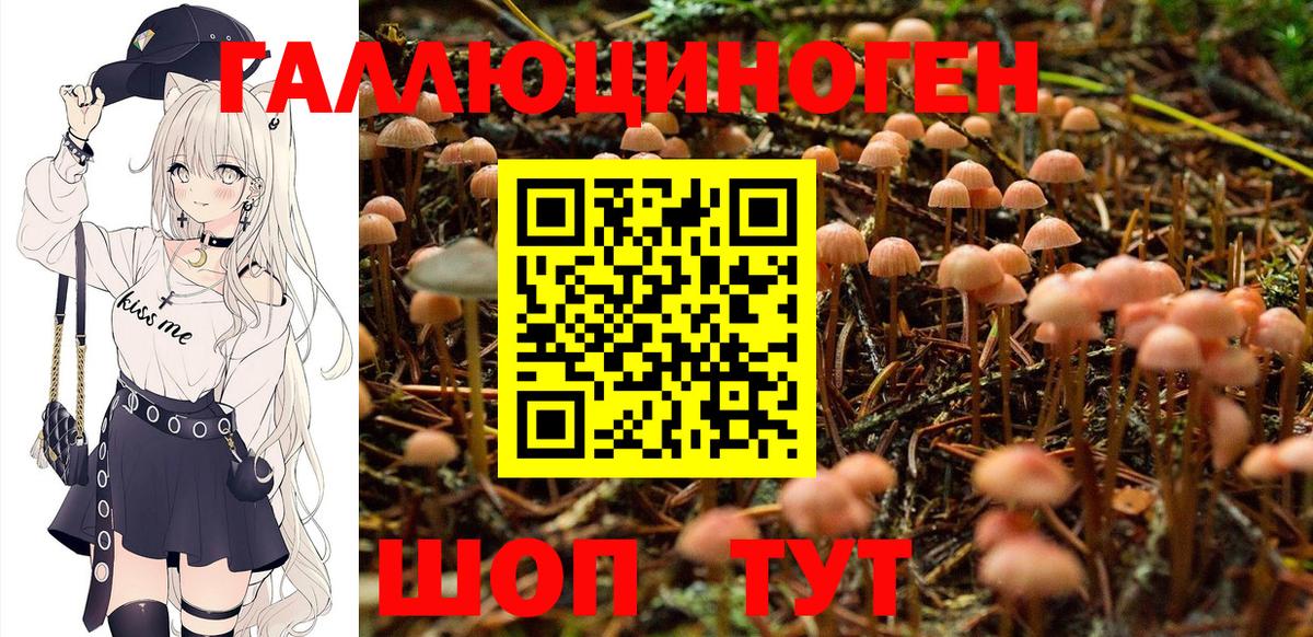 Псилоцибиновые грибы прущие грибы  Галлюциногенные грибы мухоморы  Майский  Вход с VPN 